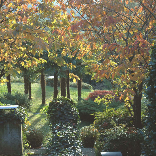 Copyright: Mathias Overbeck