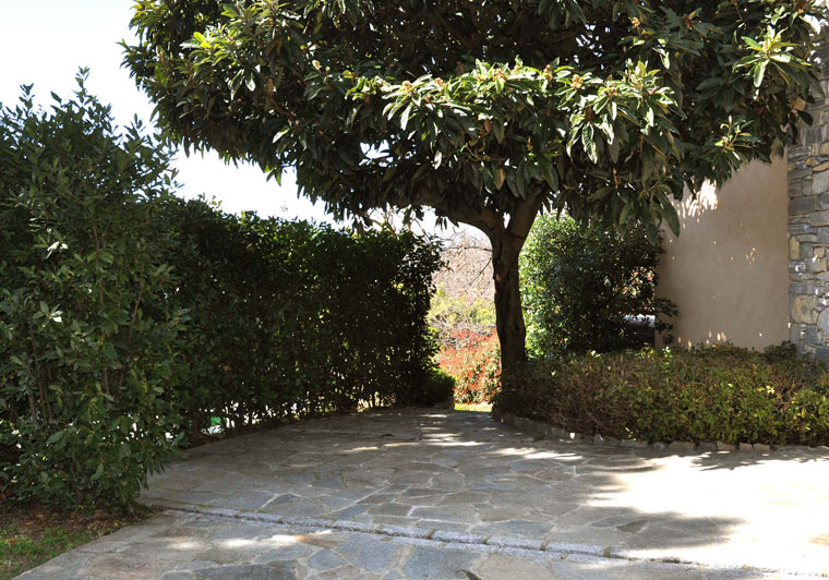 Copyright: Mathias Overbeck