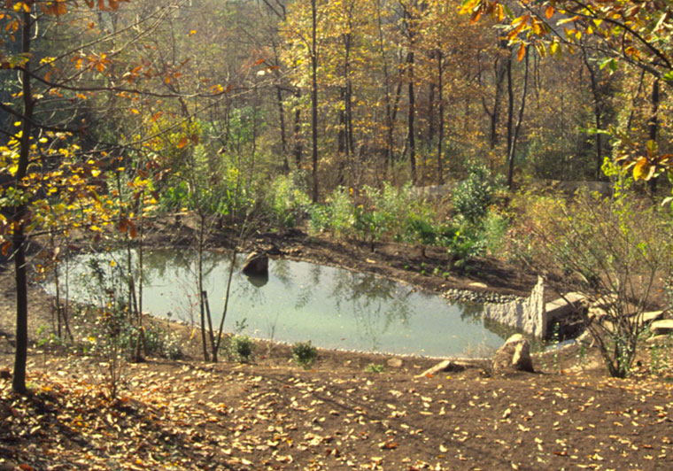 Copyright: Mathias Overbeck