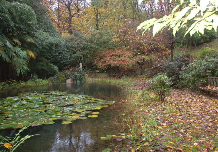 Copyright: Mathias Overbeck