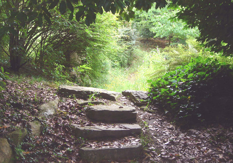 Copyright: Mathias Overbeck